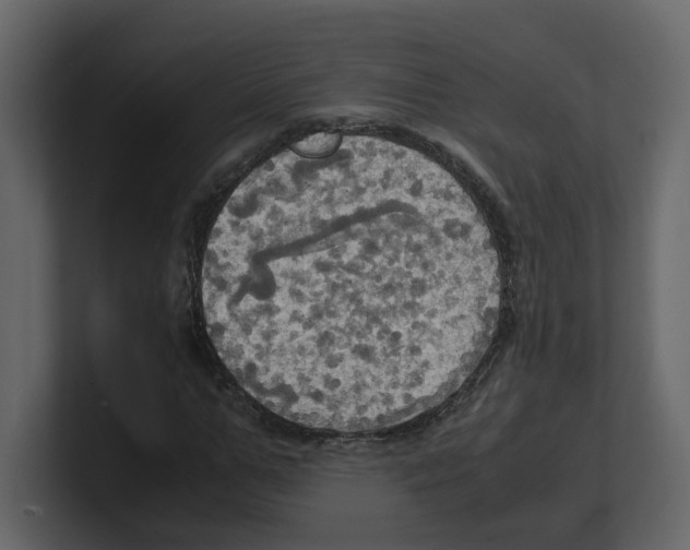 X0000100480967200807111058