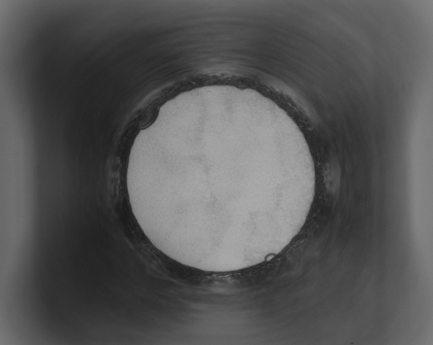 X0000100480968200807111058