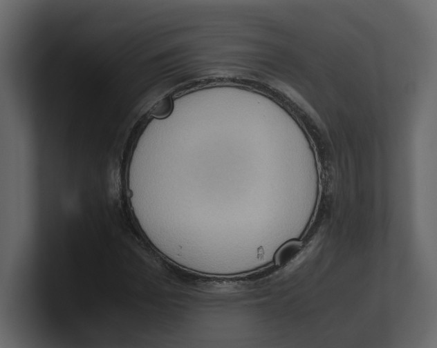 X0000100480969200807111058