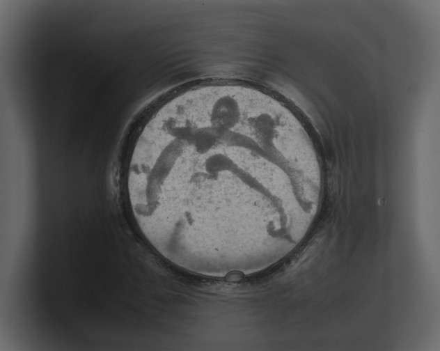 X0000100480971200807111058