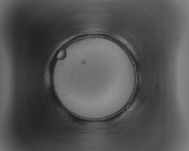 X0000100480973200807111058