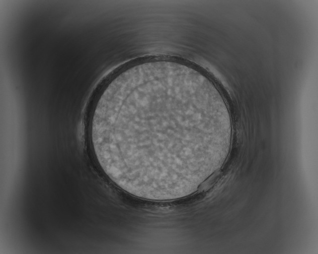 X0000100480975200807111058