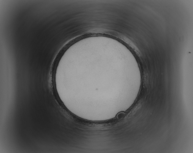 X0000100480976200807111058