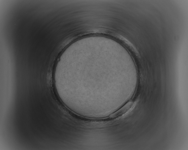 X0000100480977200807111058