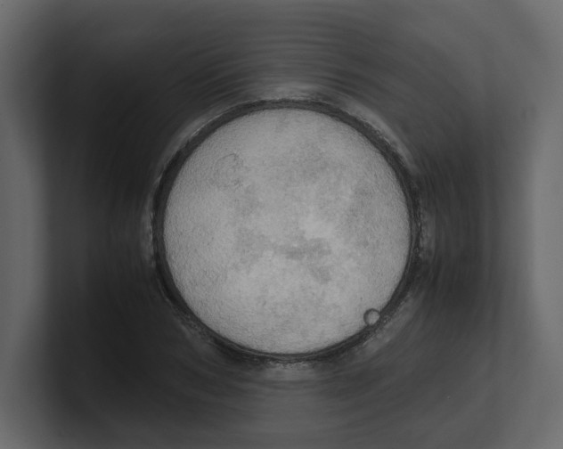 X0000100480978200807111058