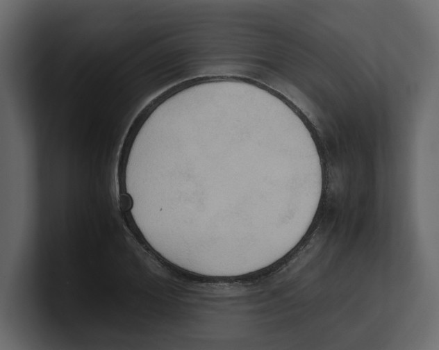 X0000100480980200807111058