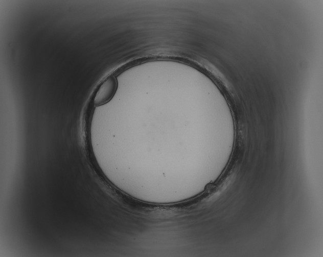 X0000100480981200807111058