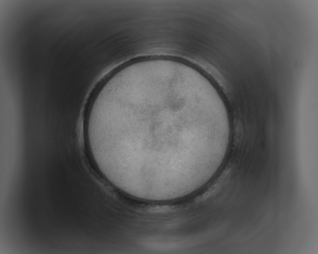 X0000100480982200807111058