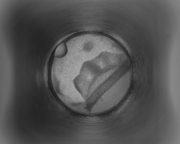 X0000100480983200807111058