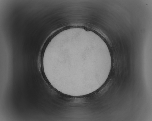 X0000100480984200807111058