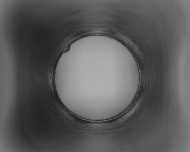 X0000100480985200807111058