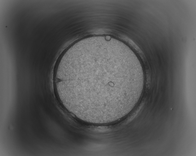 X0000100480986200807111058