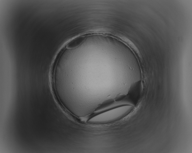 X0000100480989200807111058