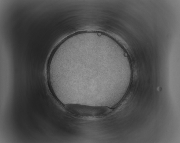 X0000100480990200807111058