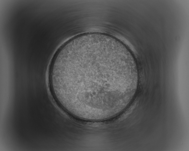 X0000100480991200807111058