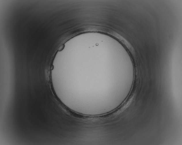 X0000100480993200807111057