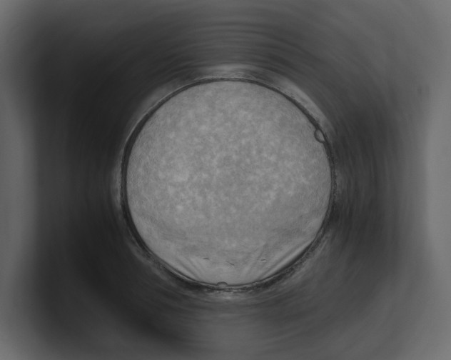 X0000100480994200807111057