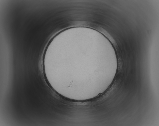 X0000100480996200807111057