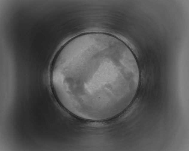 X0000100480998200807111057