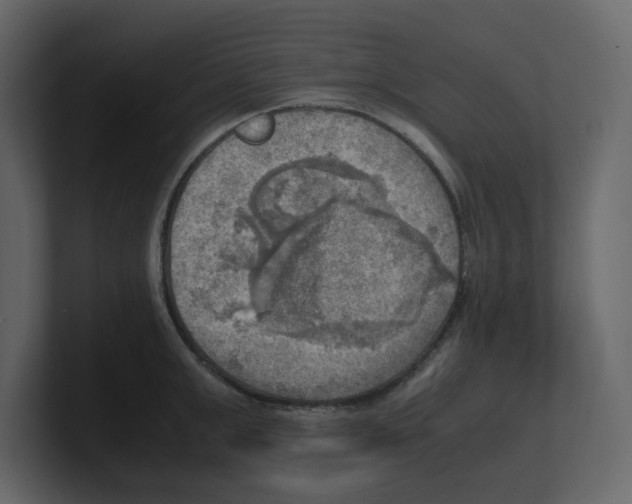 X0000100480999200807111057