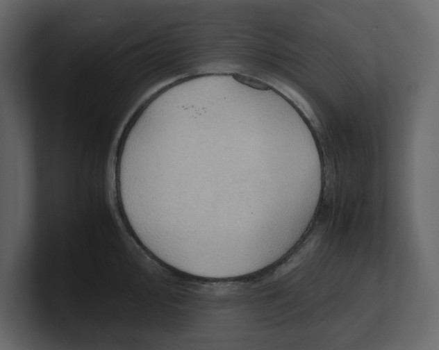 X0000100481000200807111057