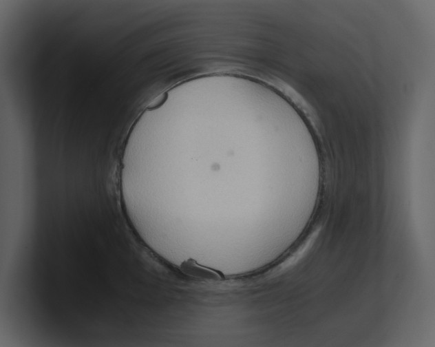 X0000100481001200807111057