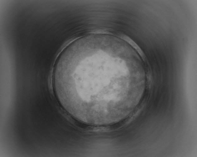 X0000100481002200807111057