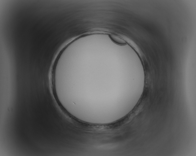 X0000100481003200807111057