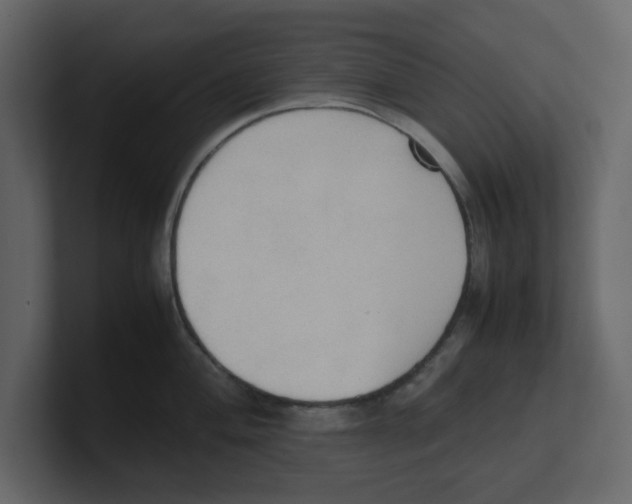 X0000100481004200807111057