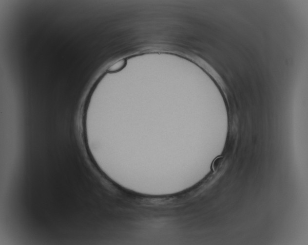 X0000100481005200807111057