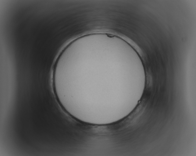 X0000100481006200807111057