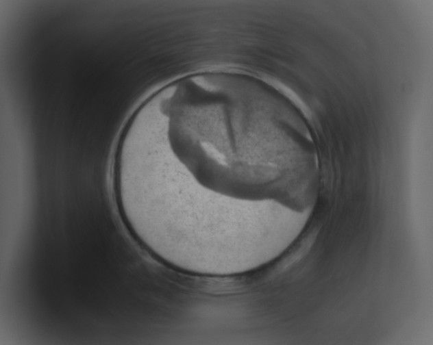 X0000100481007200807111057