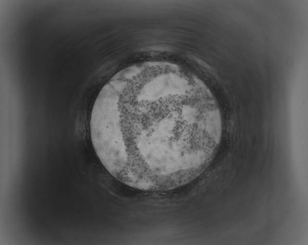 X0000100481014200807111057