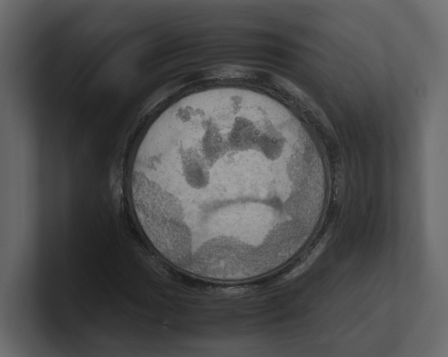 X0000100481017200807111057