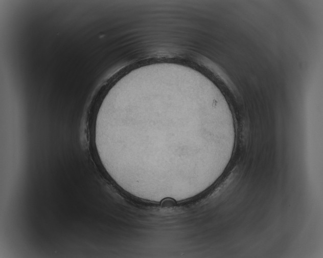 X0000100481018200807111057