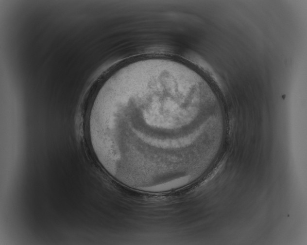 X0000100481019200807111057