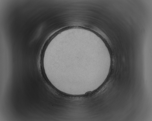 X0000100481020200807111057