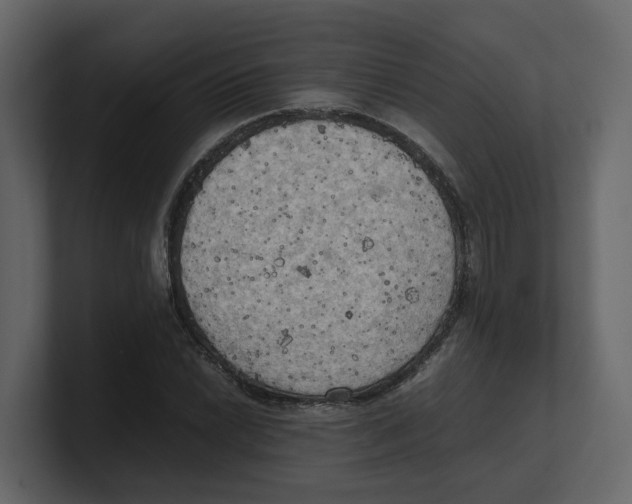 X0000100481022200807111057