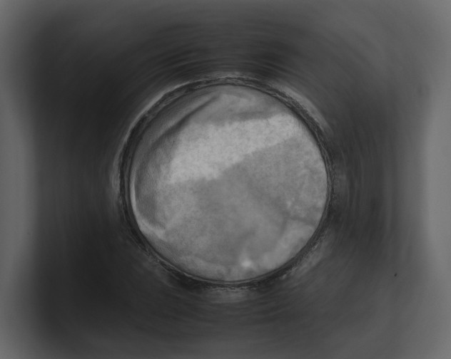 X0000100481023200807111057