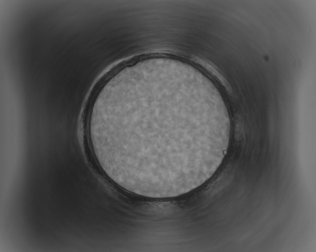 X0000100481024200807111057