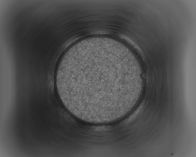 X0000100481025200807111057