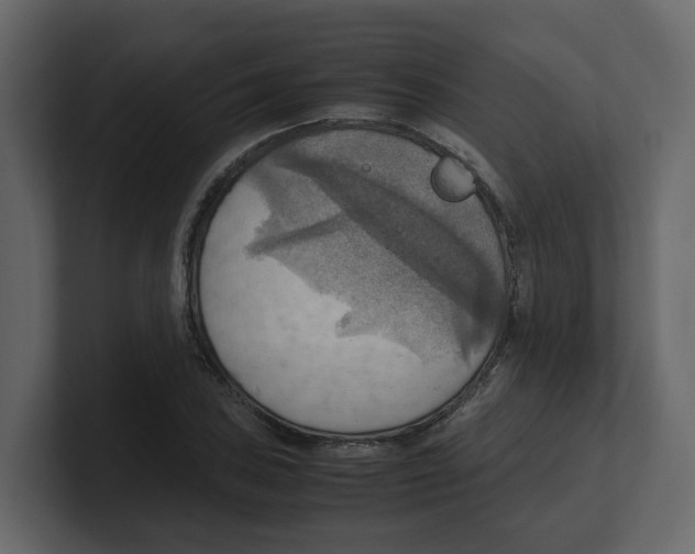 X0000100481027200807111057