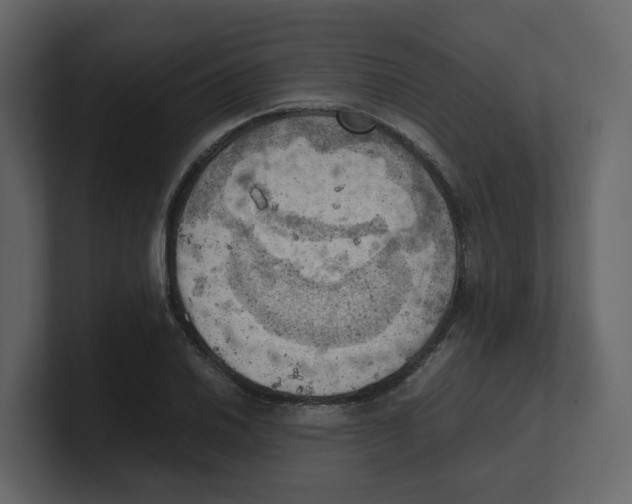 X0000100481030200807111057