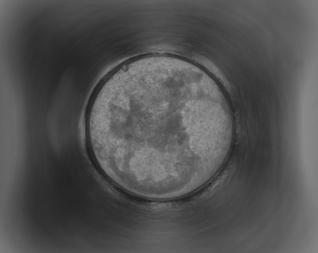 X0000100481032200807111057