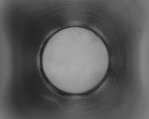 X0000100481034200807111057