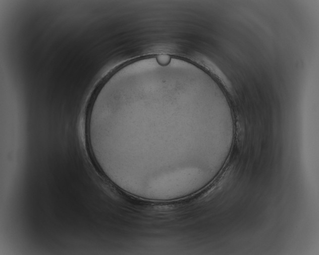 X0000100481035200807111057