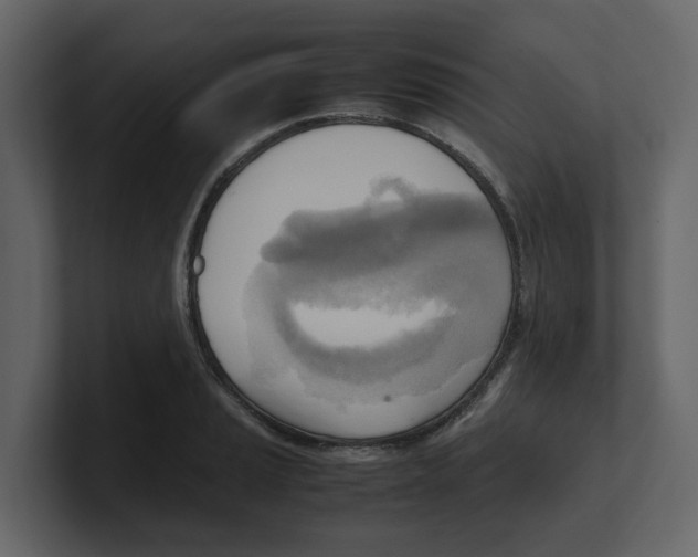 X0000100481037200807111057