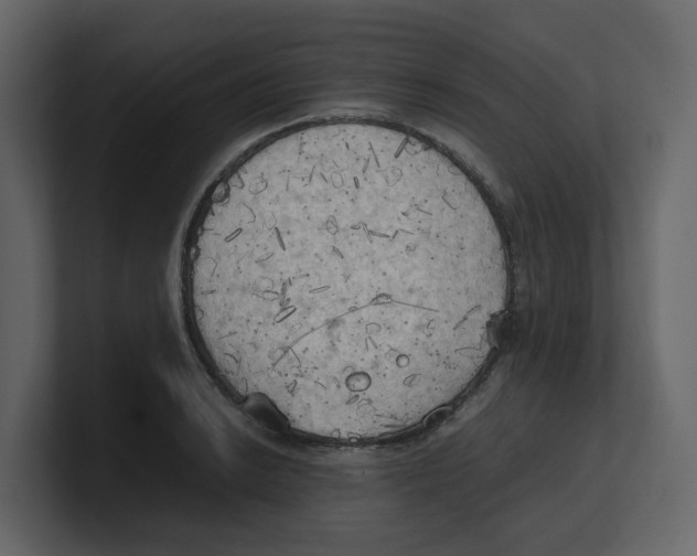 X0000100481038200807111057