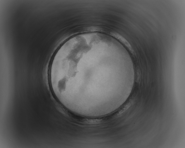 X0000100481039200807111057