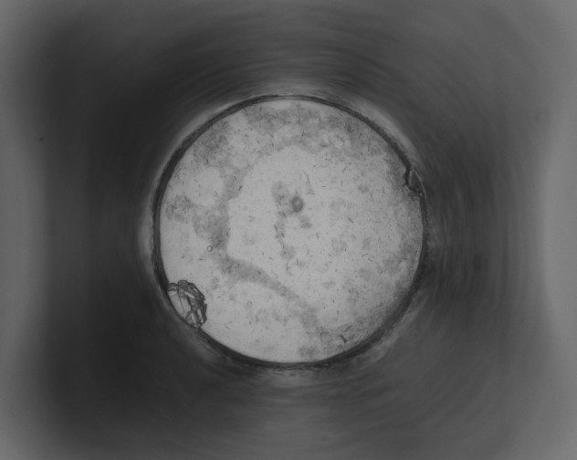 X0000100481040200807111057